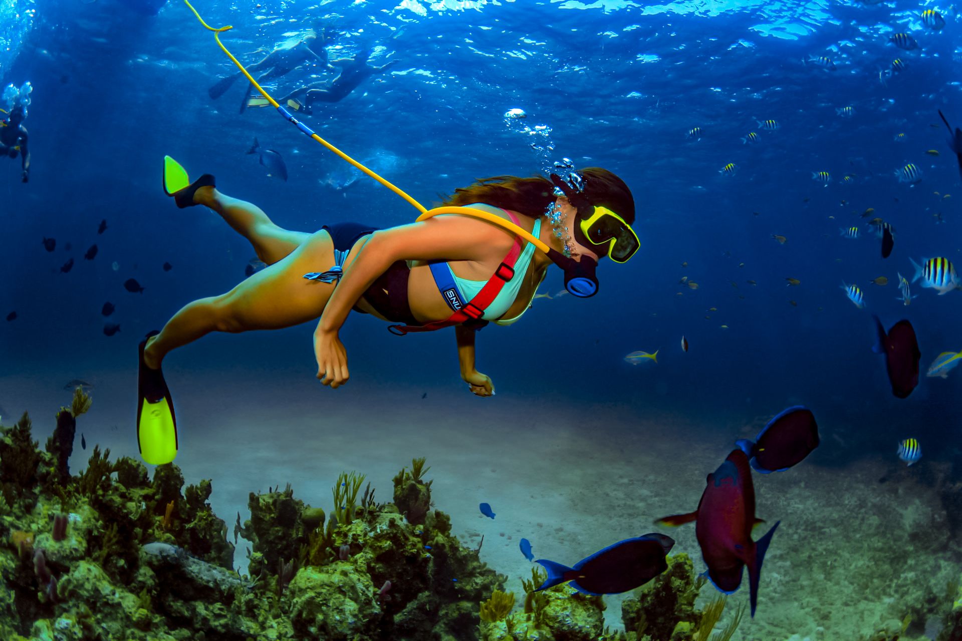 snorkeling1 snorkeling1