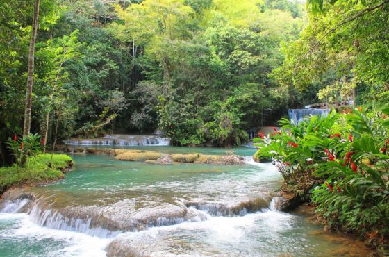 Black River Safari and YS Falls Tour St. Elizabeth from Negril