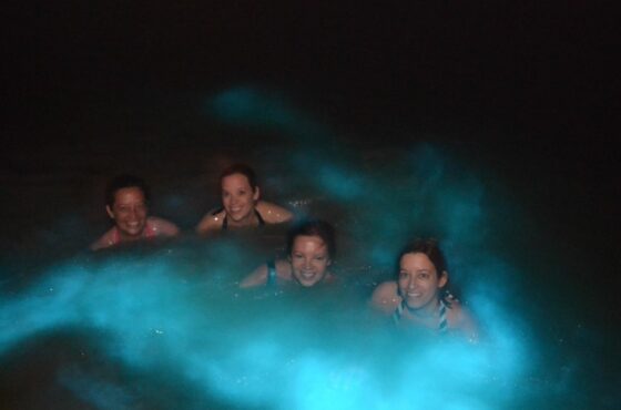 Luminous Lagoon Tour Falmouth From Montego Bay